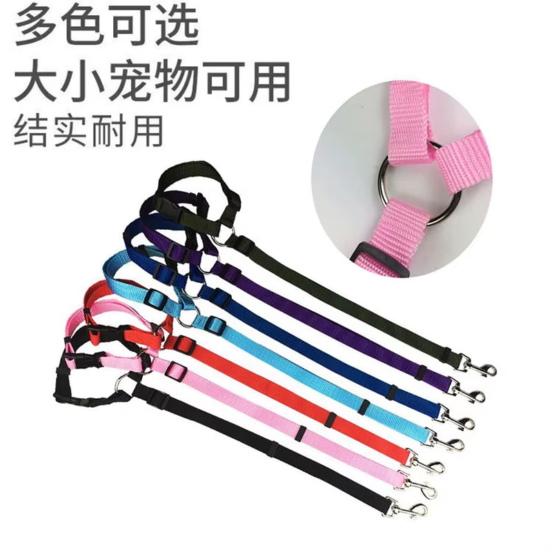 Solid Color Two-In-One Pet Car Seat Belt Nylon Lead Leash Backseat Safety Belt Adjustable Dogs Harness Collar Pet Accessories