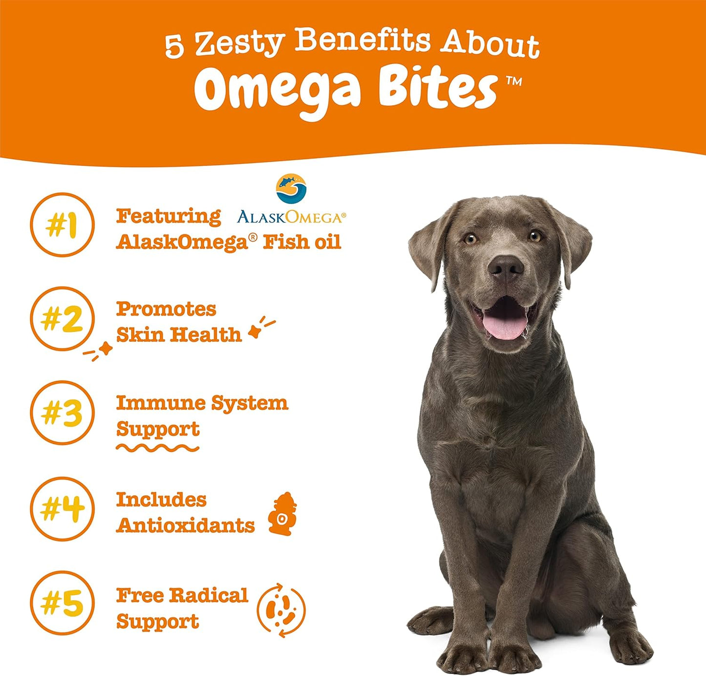 Omega 3 Alaskan Fish Oil Chew Treats for Dogs - with Alaskomega for EPA & DHA Fatty Acids - Hip & Joint Support + Skin & Coat Chicken Flavor (90 Soft Chews)