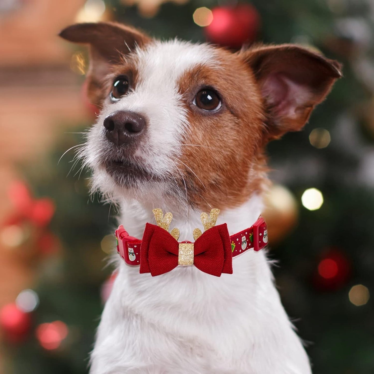 Christmas Dog Collar with Antler Bow Tie for Medium Dogs